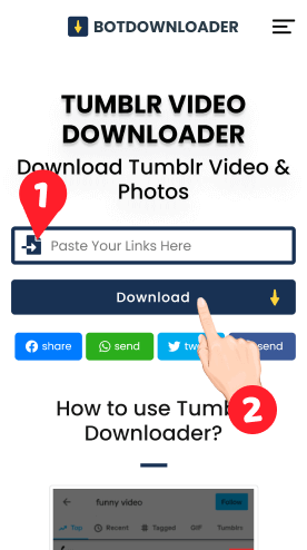 Tumblr Video Download